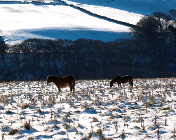 10 Ways to Have a More Relaxing Christmas This Year